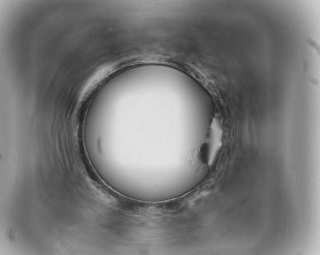 X0000095890197200802011114