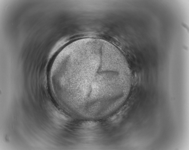 X0000095890198200802011114