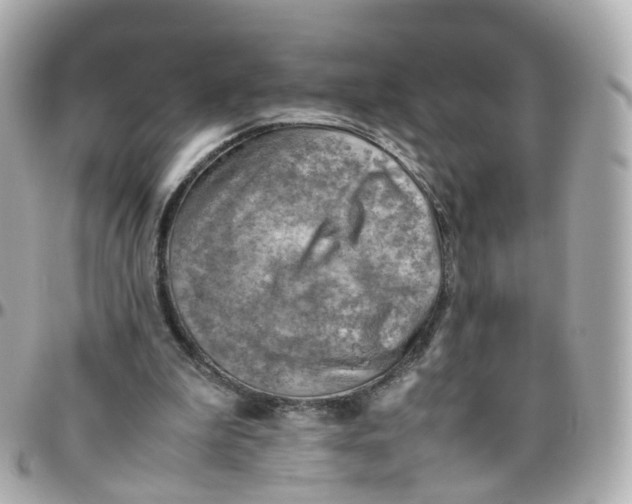 X0000095890199200802011114