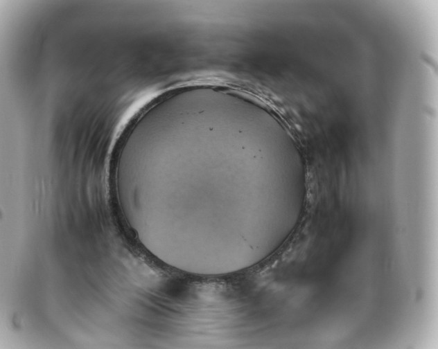 X0000095890200200802011114