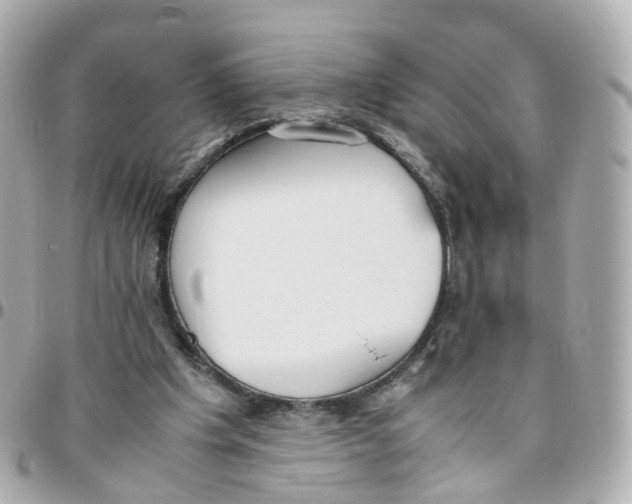 X0000095890201200802011114