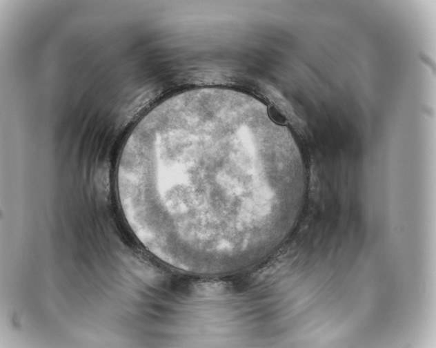 X0000095890202200802011114