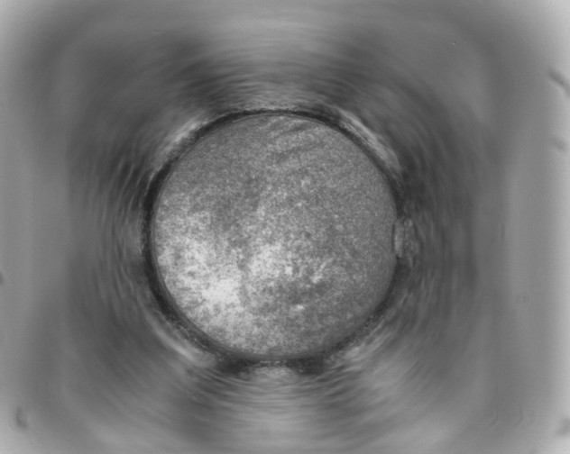 X0000095890203200802011114