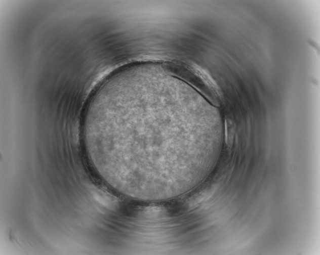 X0000095890204200802011113