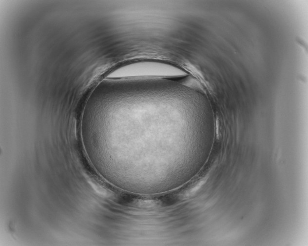 X0000095890205200802011113