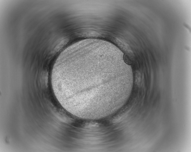 X0000095890206200802011113