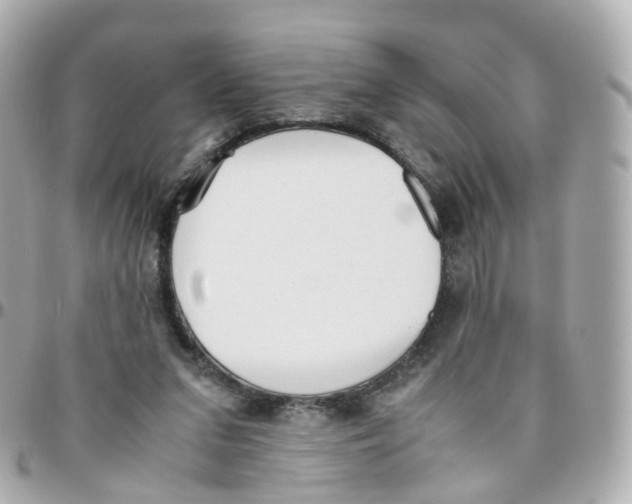 X0000095890207200802011113