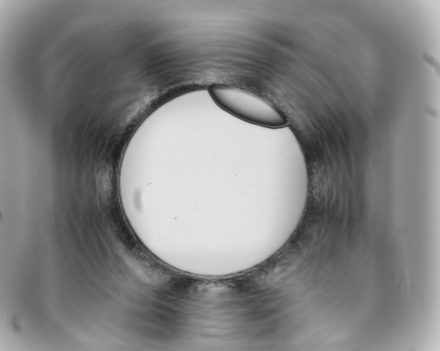 X0000095890208200802011113