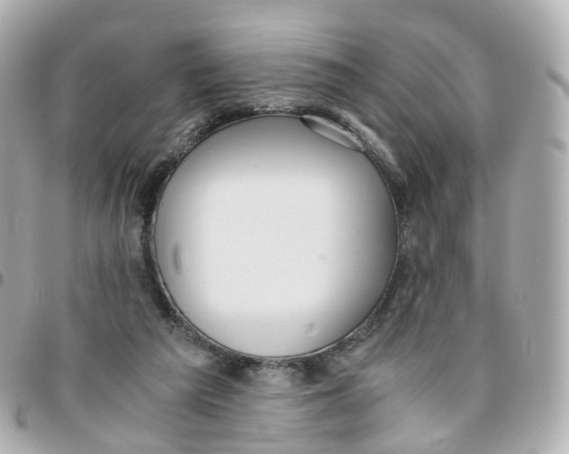 X0000095890209200802011113
