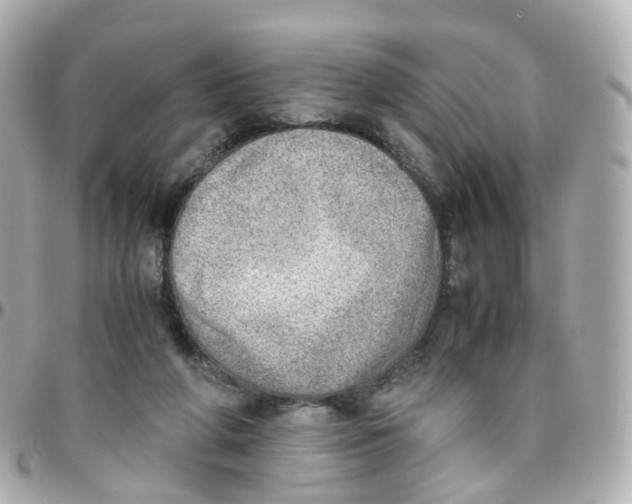 X0000095890210200802011113