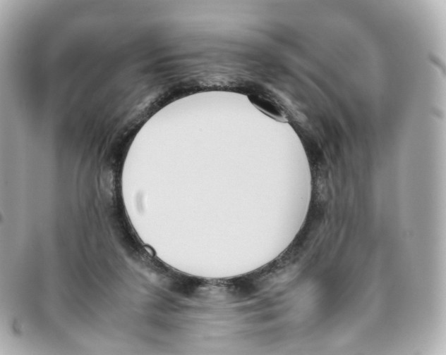 X0000095890211200802011113