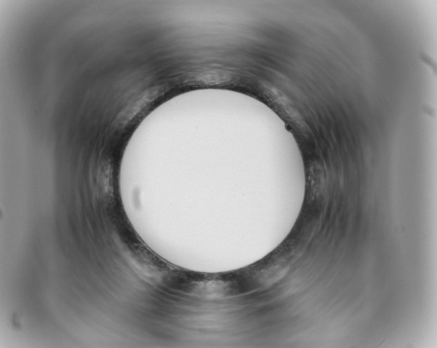 X0000095890212200802011113