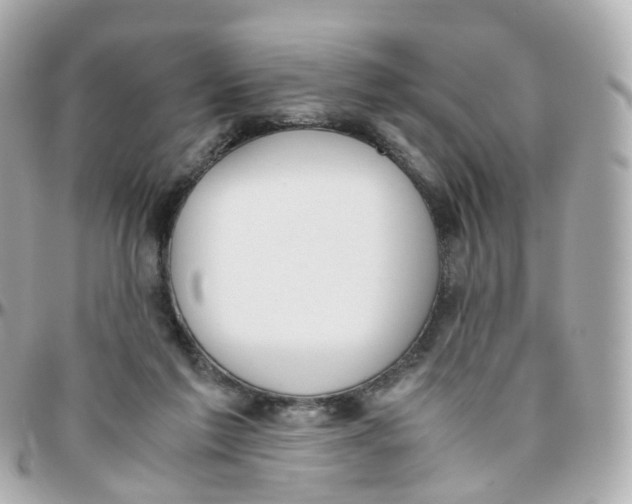 X0000095890213200802011113