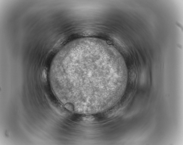 X0000095890214200802011113