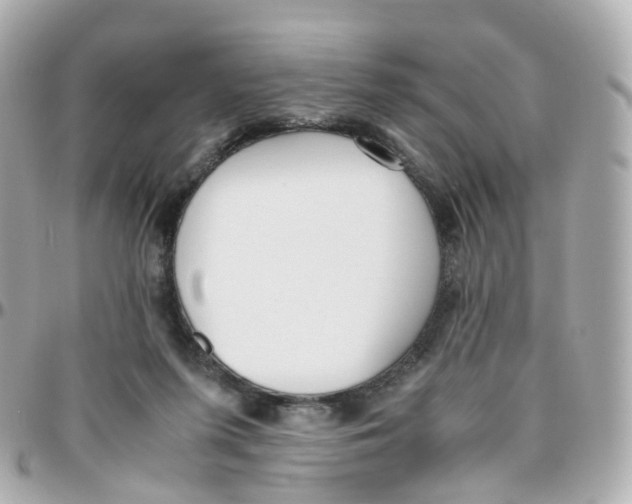 X0000095890215200802011113