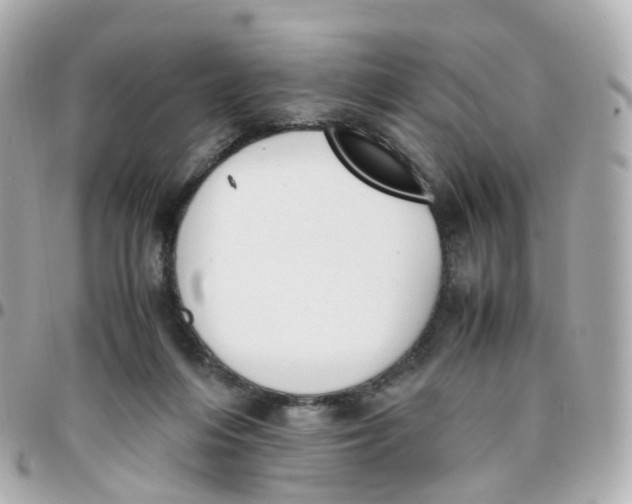X0000095890216200802011113