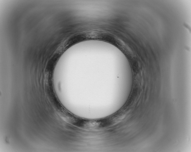 X0000095890217200802011113