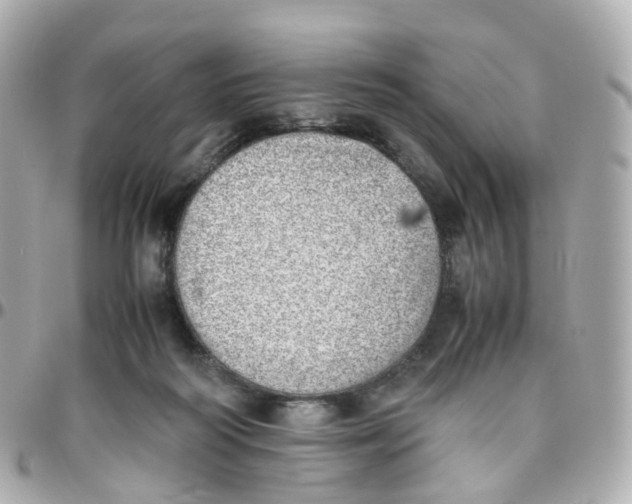 X0000095890218200802011113