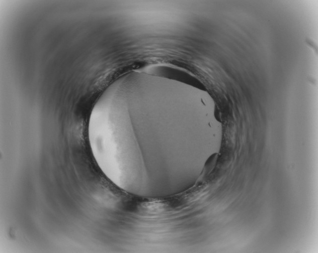 X0000095890219200802011113