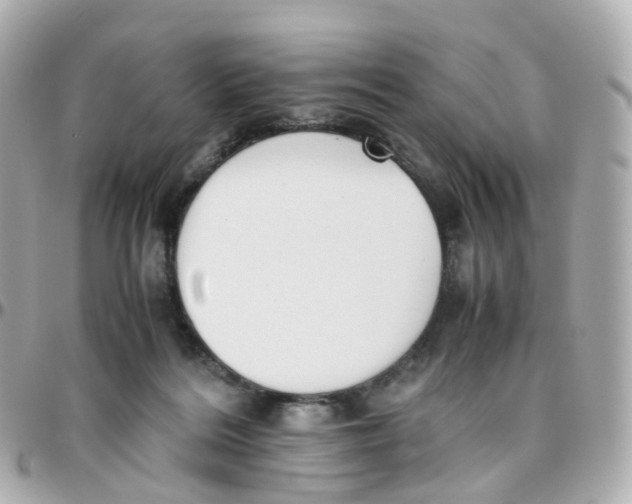 X0000095890220200802011113
