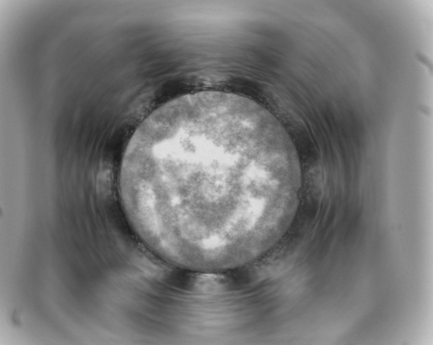 X0000095890222200802011113