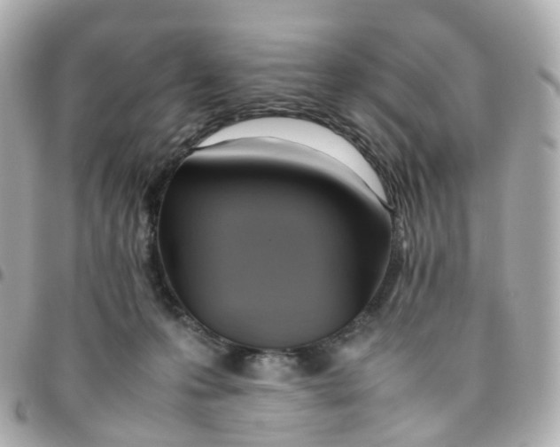 X0000095890223200802011113