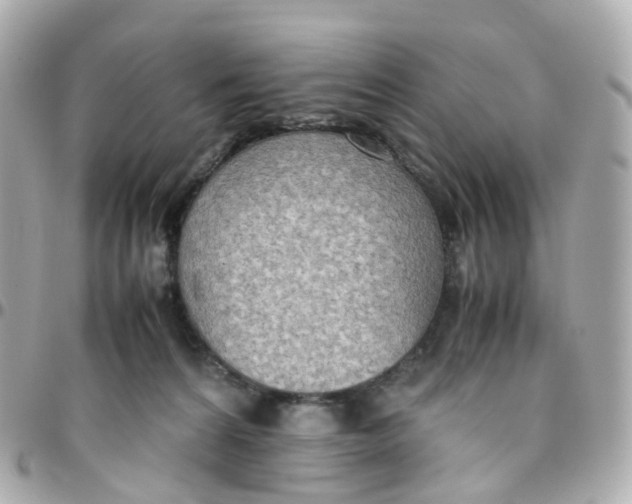 X0000095890224200802011113