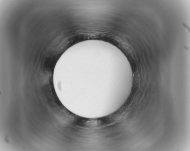 X0000095890225200802011113