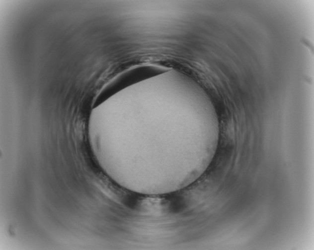 X0000095890227200802011113