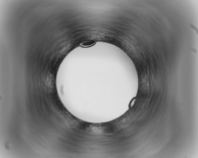 X0000095890228200802011113