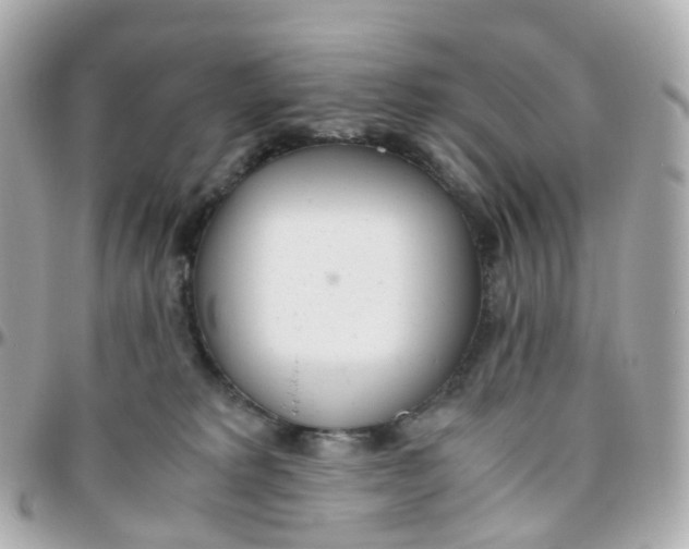X0000095890229200802011113