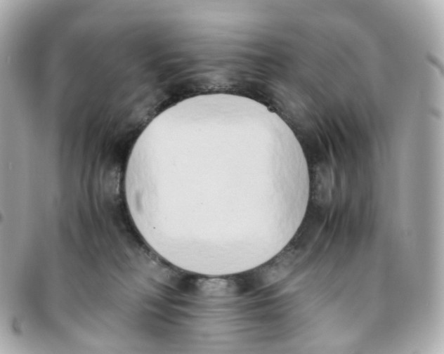 X0000095890230200802011113