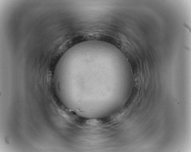 X0000095890231200802011113