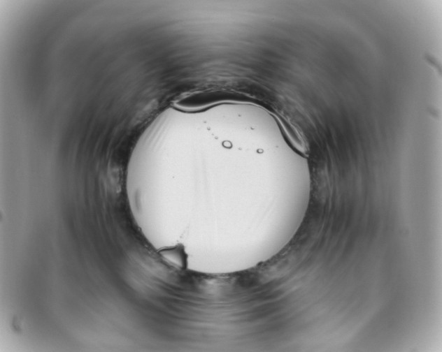 X0000095890232200802011113
