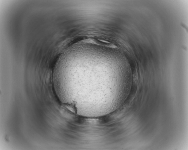 X0000095890233200802011113