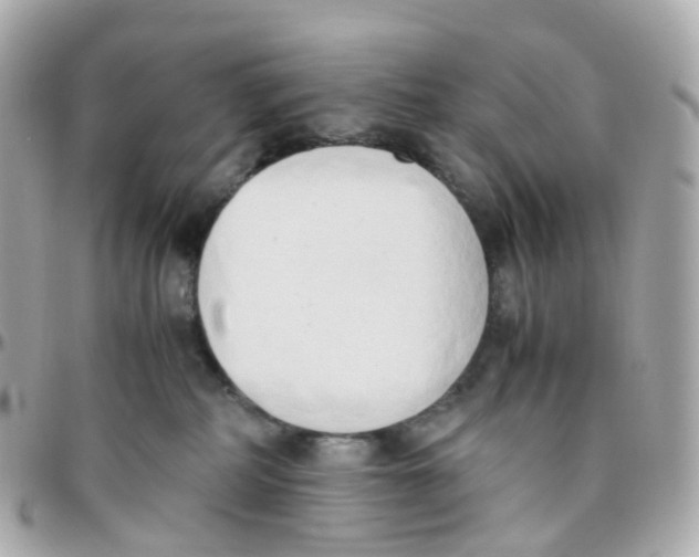 X0000095890234200802011113