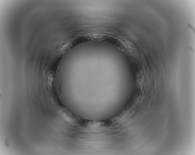 X0000095890235200802011113
