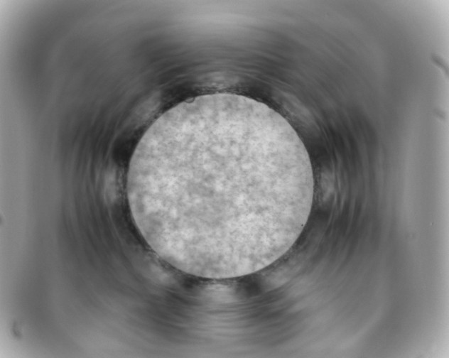 X0000095890236200802011113