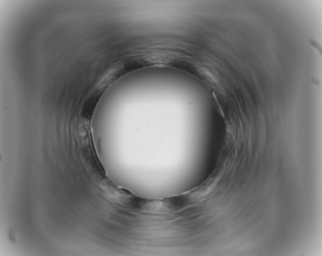 X0000095890237200802011113