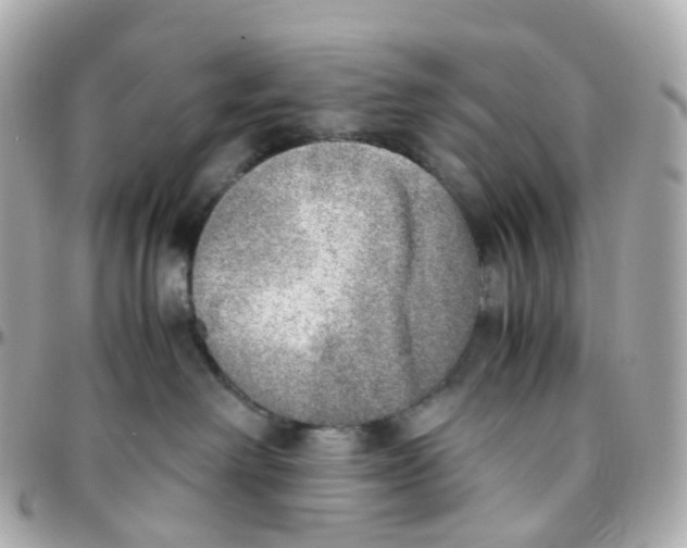 X0000095890238200802011113