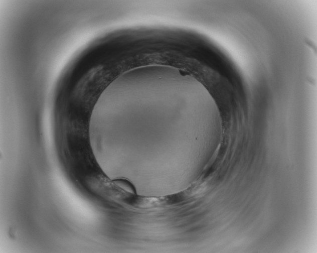 X0000095890239200802011113