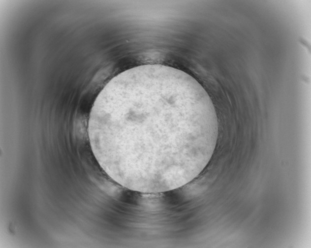 X0000095890240200802011113