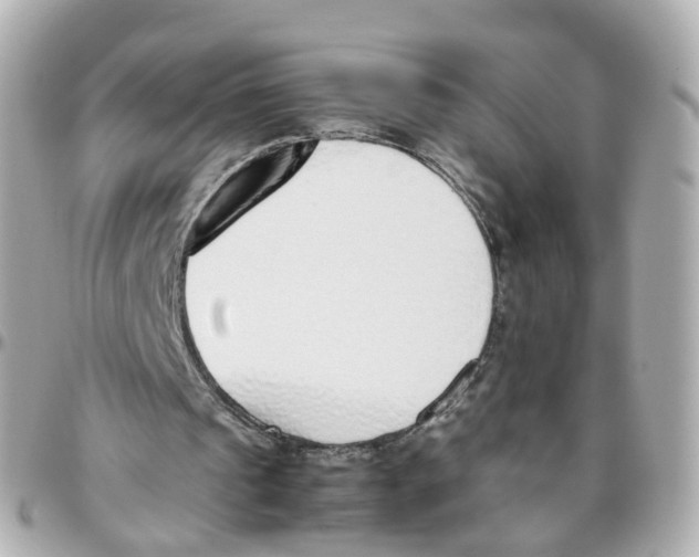X0000095890241200802011112
