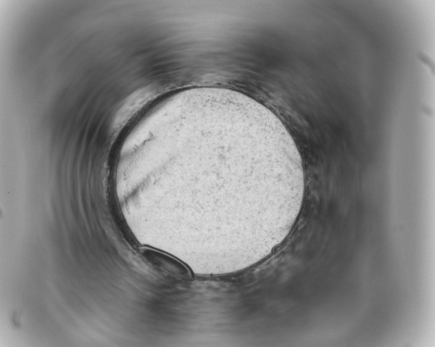 X0000095890242200802011112