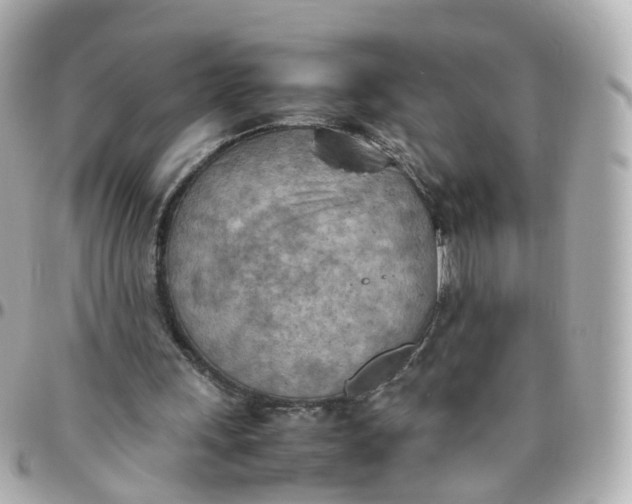 X0000095890243200802011112
