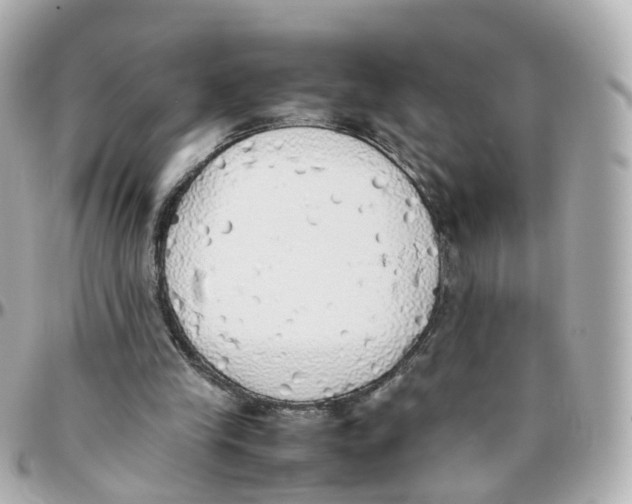 X0000095890245200802011112