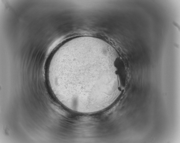 X0000095890246200802011112