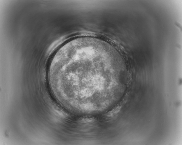 X0000095890247200802011112