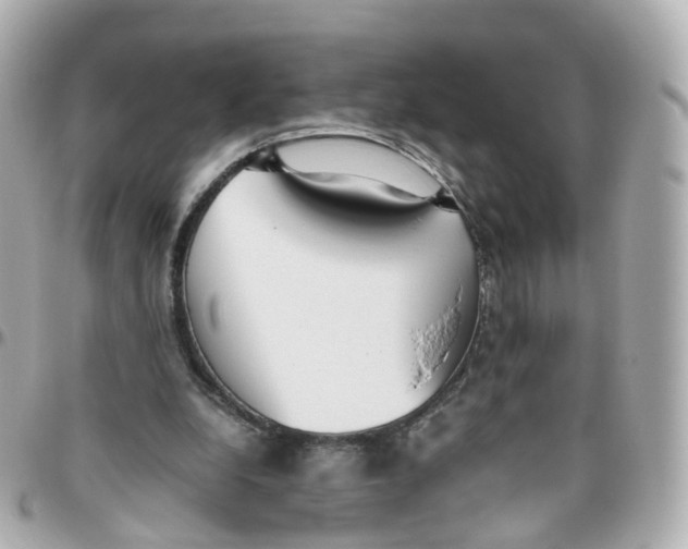 X0000095890248200802011112