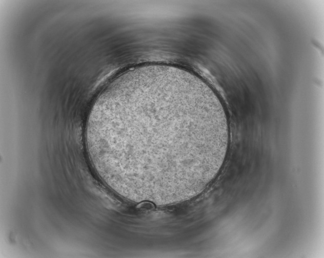 X0000095890249200802011112
